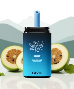 LAVIE Aurora 11000 Puffs Wegwerp Vape Munt & Type C Oplaadbaar