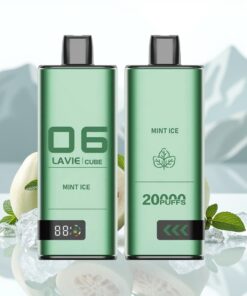Lavie Cube 20000 Puffs Wegwerp Vape Munt IJs & 600mAh Batterij