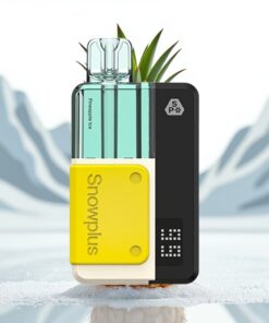 Snowplus Swift 5000 Puffs Prefilled Pod Kit Ananas IJs