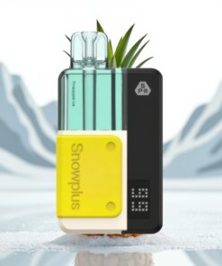 Snowplus Swift Pod Kit 15000 Puffs Ananas IJs