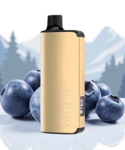 Alibarbar Ingot 9000 Puffs Wegwerp Vape Blauwe Bes Aroma 22ml 2350mAh