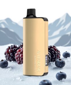 Alibarbar Ingot 9000 Puffs Wegwerp Vape Braambes IJs