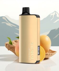 Alibarbar Ingot 9000 Puffs Wegwerp Vape Magische Mango