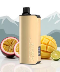 Alibarbar Ingot 9000 Puffs Wegwerp Vape Passievrucht Mango Limoen 22ml
