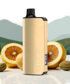 Alibarbar Ingot 9000 Puffs Wegwerp Vape Tabak 22ml 2350mAh