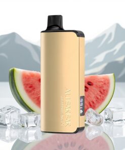 Alibarbar Ingot 9000 Puffs Wegwerp Vape Watermeloen IJs 22ml 2350mAh