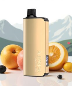 Alibarbar Ingot 9000 Puffs Wegwerp Vape Zwarte Woud 22ml 2350mAh