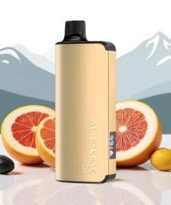 Alibarbar Ingot 9000 Puffs Wegwerpsigaret Fanta 22ml