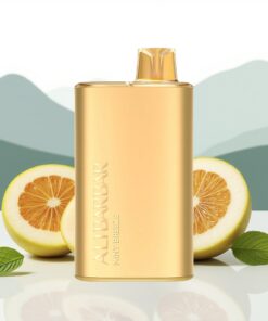 Alibarbar Rich 8000 Puffs Wegwerp Vape Munt Bries met 20ml Vloeistof en 2000 mAh Batterij