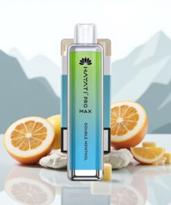 Hayati Pro Max 4000 Puffs Wegwerp Vape Dubbele Menthol met 1400mAh batterij