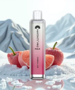 Hayati Pro Max 4000 Puffs Wegwerp Vape IJzige Vimbull