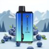 Hayati Pro Ultra 15000 Puffs Wegwerp Vape Meneer Blauw en 49 Smaken