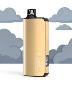 Alibarbar Ingot Niet-oplaadbaar 9000 Trekjes 22ml 2350mAh