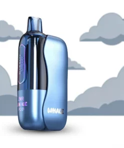 JNR Whale 38K Puffs 2+20ml Vervangbare en Navulbare Pod Groothandel – JNR Vape